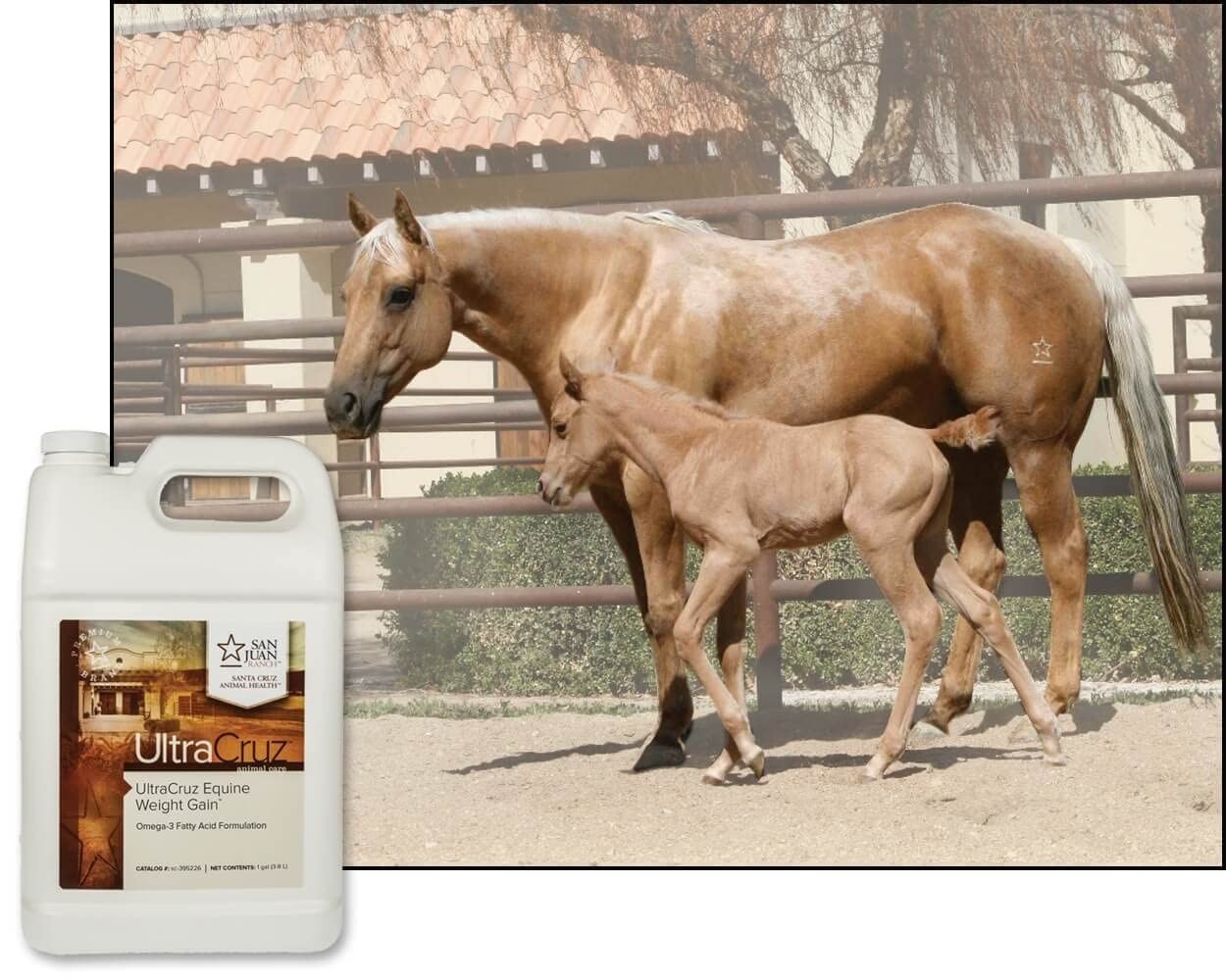 Equine Weight Gain, 1 Gallon