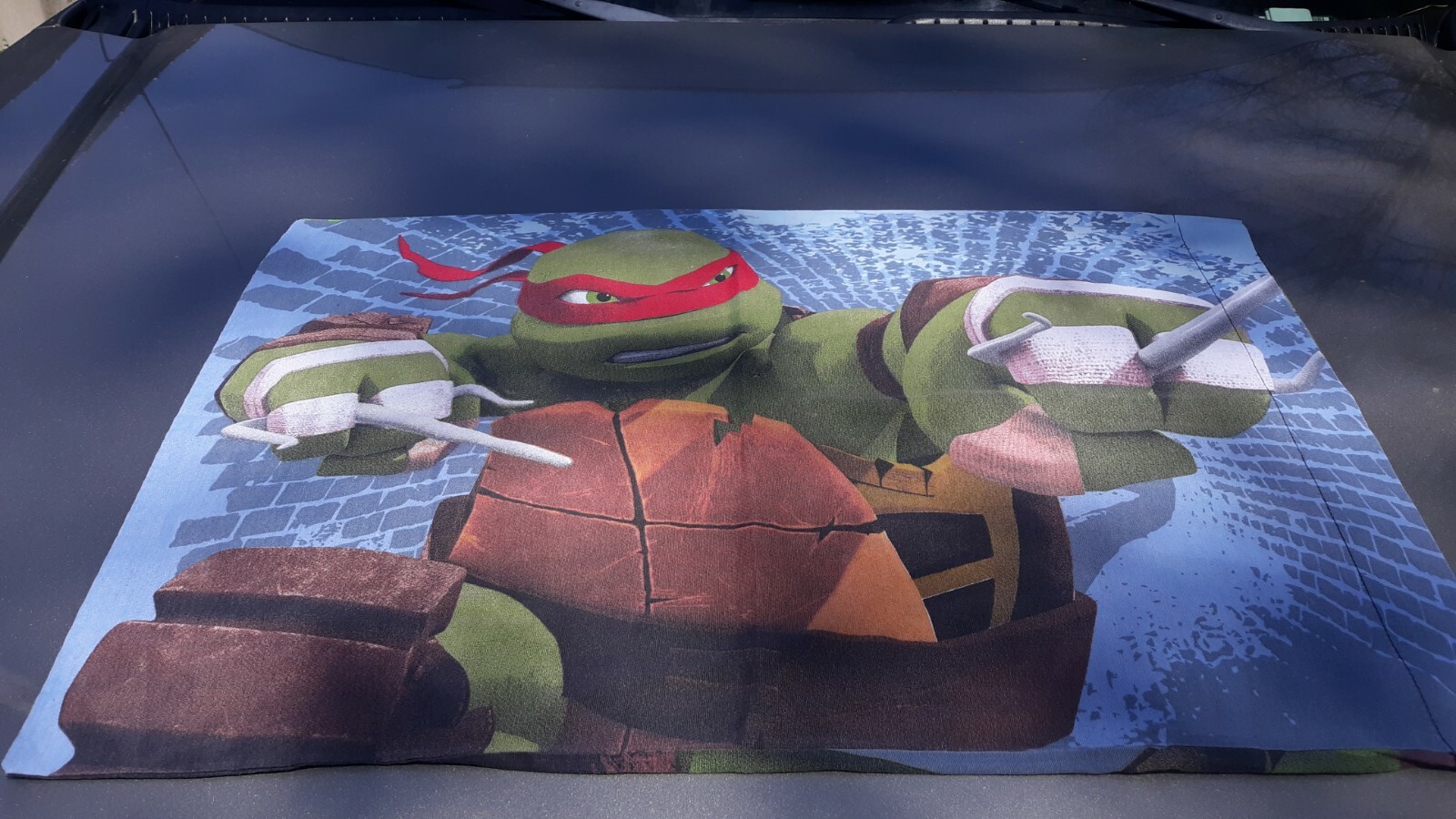 TMNT Teenage Mutant Ninja Turtle Pillowcase Standard Size 2013