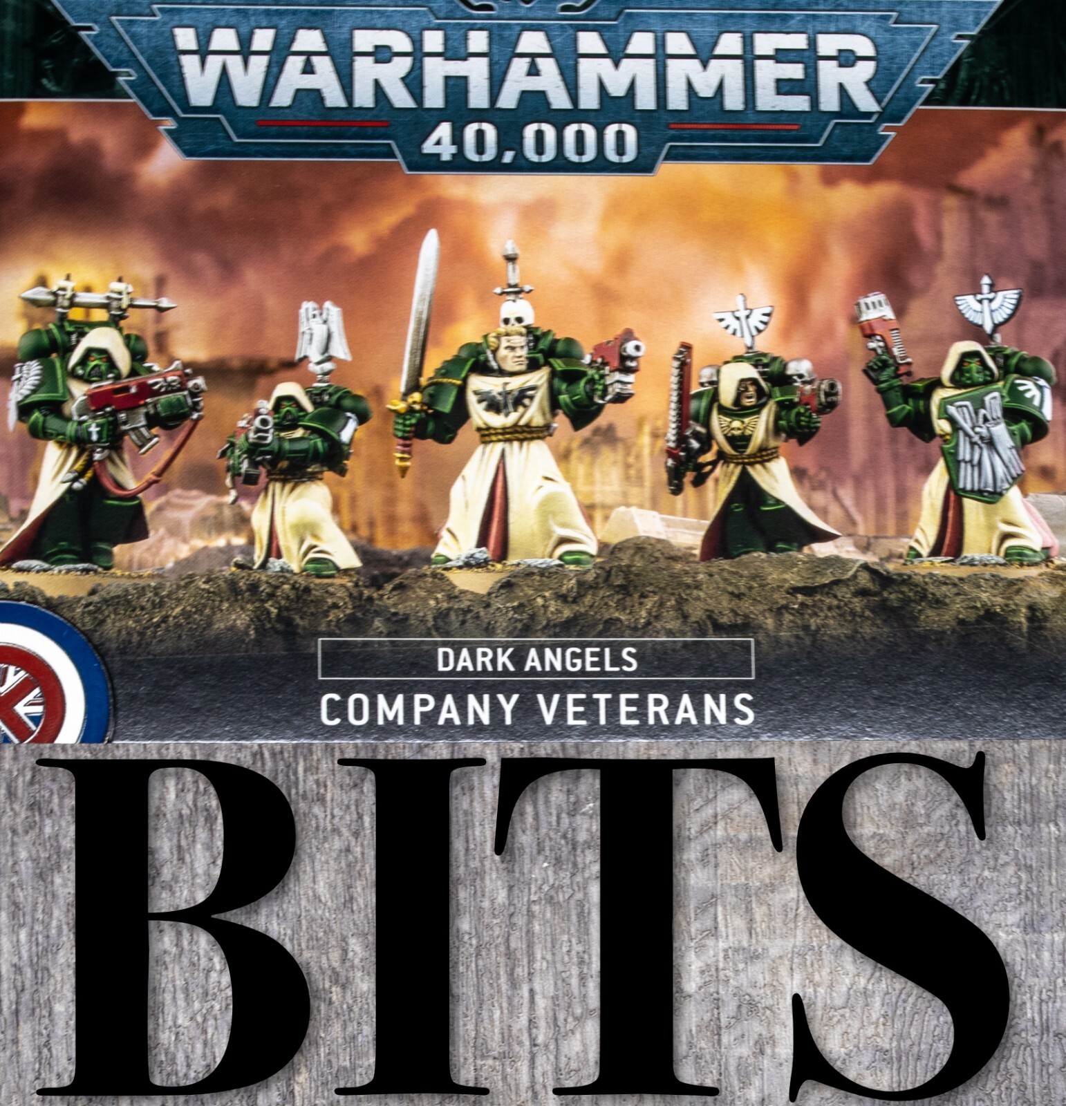 Warhammer 40K Heresy Dark Angels COMPANY VETERANS FALLEN RISEN Bit Bits Lion
