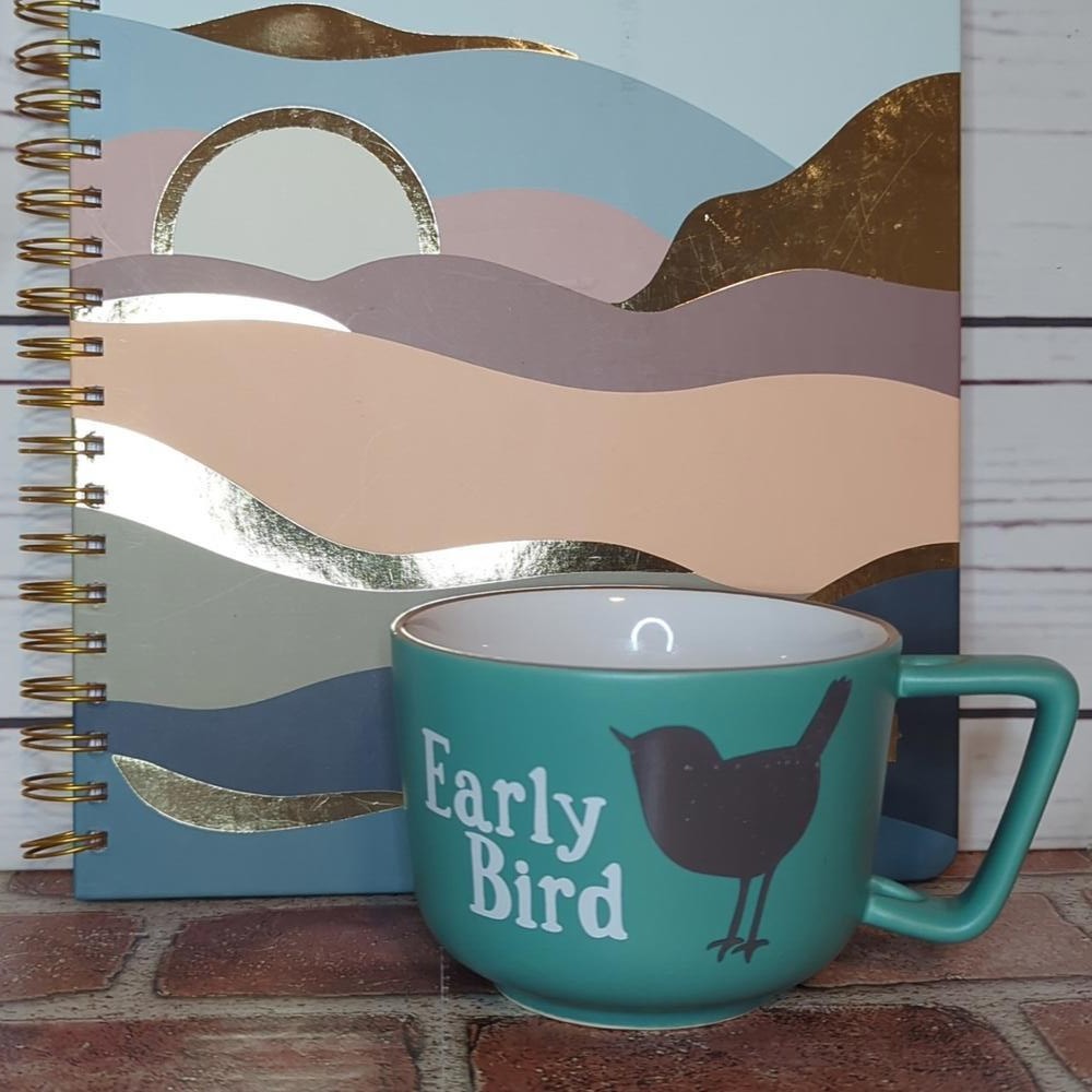 Turquoise Teal Early Bird Stoneware Wide Mouth Mug or Soup Cup with Grey Bird