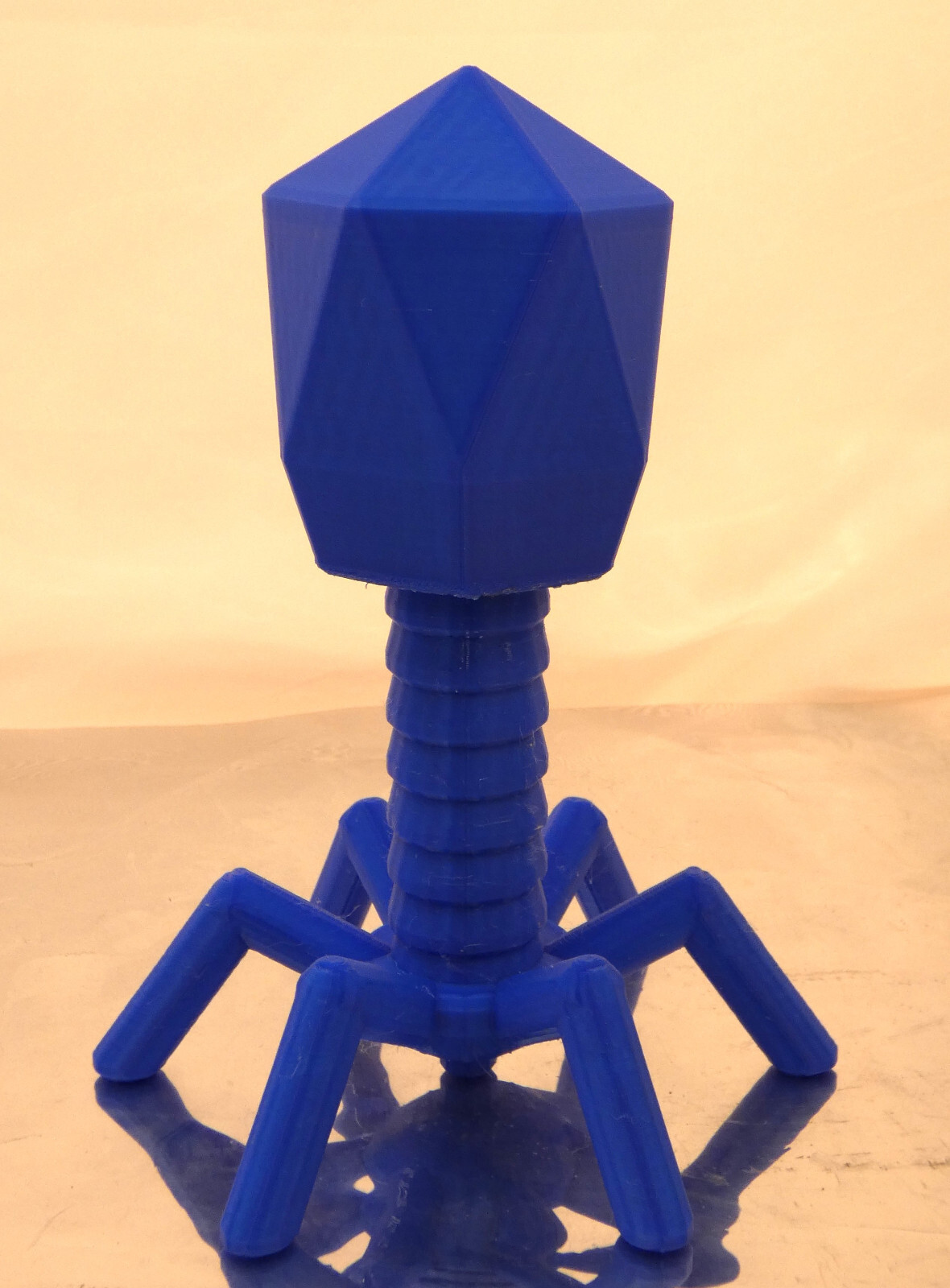Virus Model Bacteriophage Phage Microbiology Science Education 8.5" Height Gift