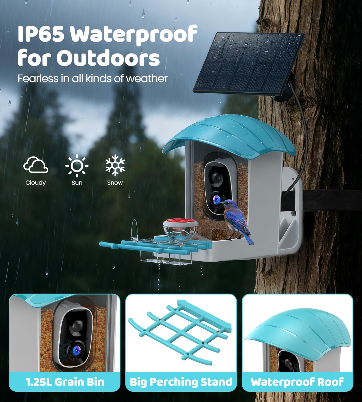 Bird Feeder with Camera Solar Powered: Smart Feeders for Medium, Blue