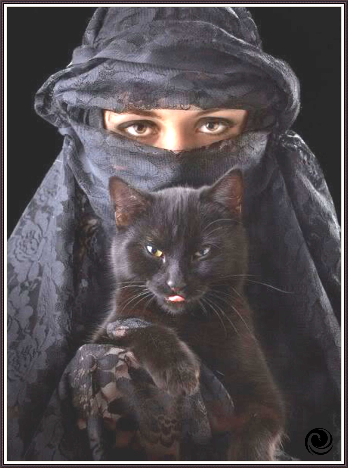 Dark Beauty  1367 - Chart Counted Cross Stitch Pattern Xstitch