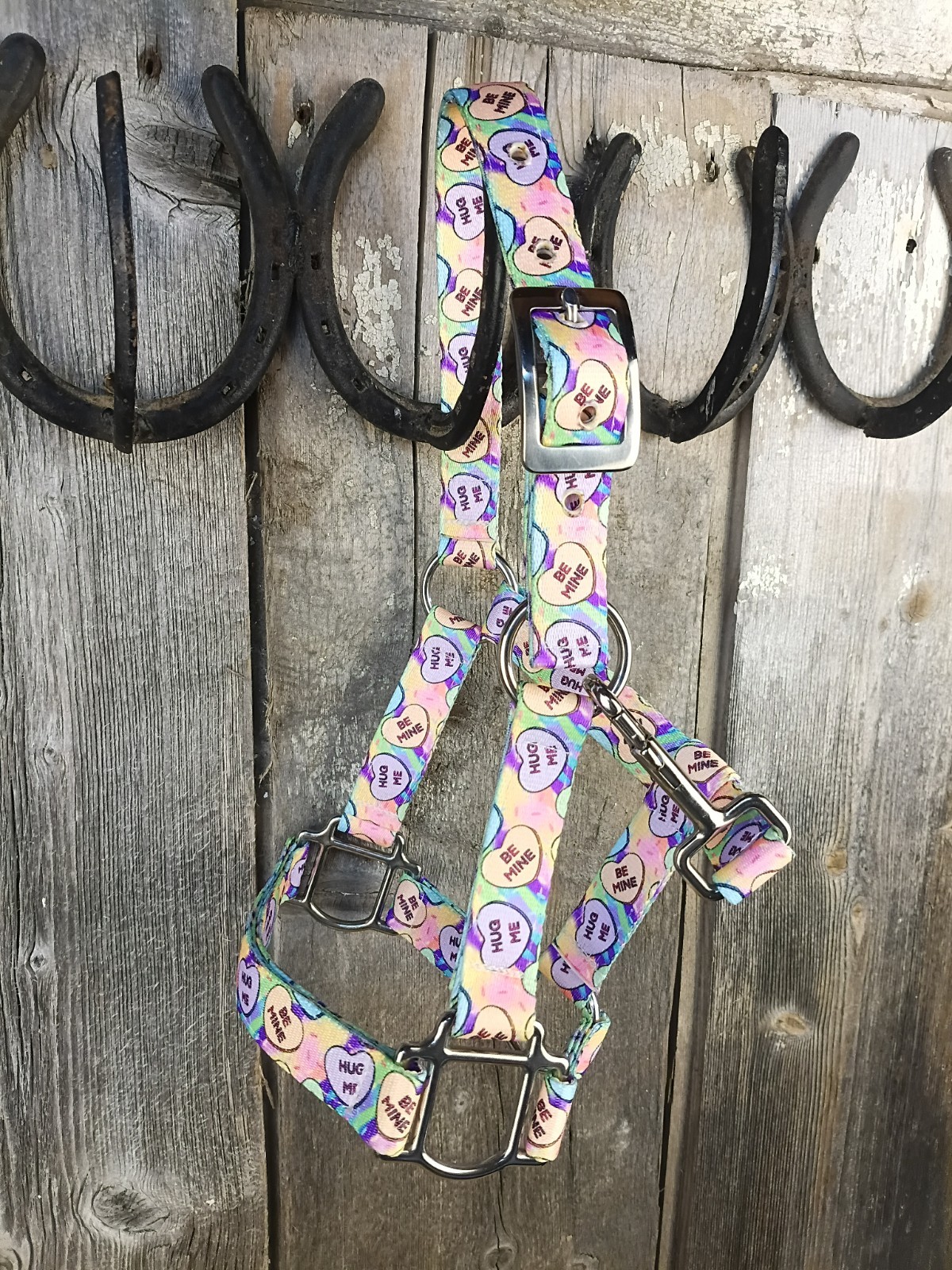 Custom Miniature Pony Halter ' Conversation Hearts' By Hot Headstalls