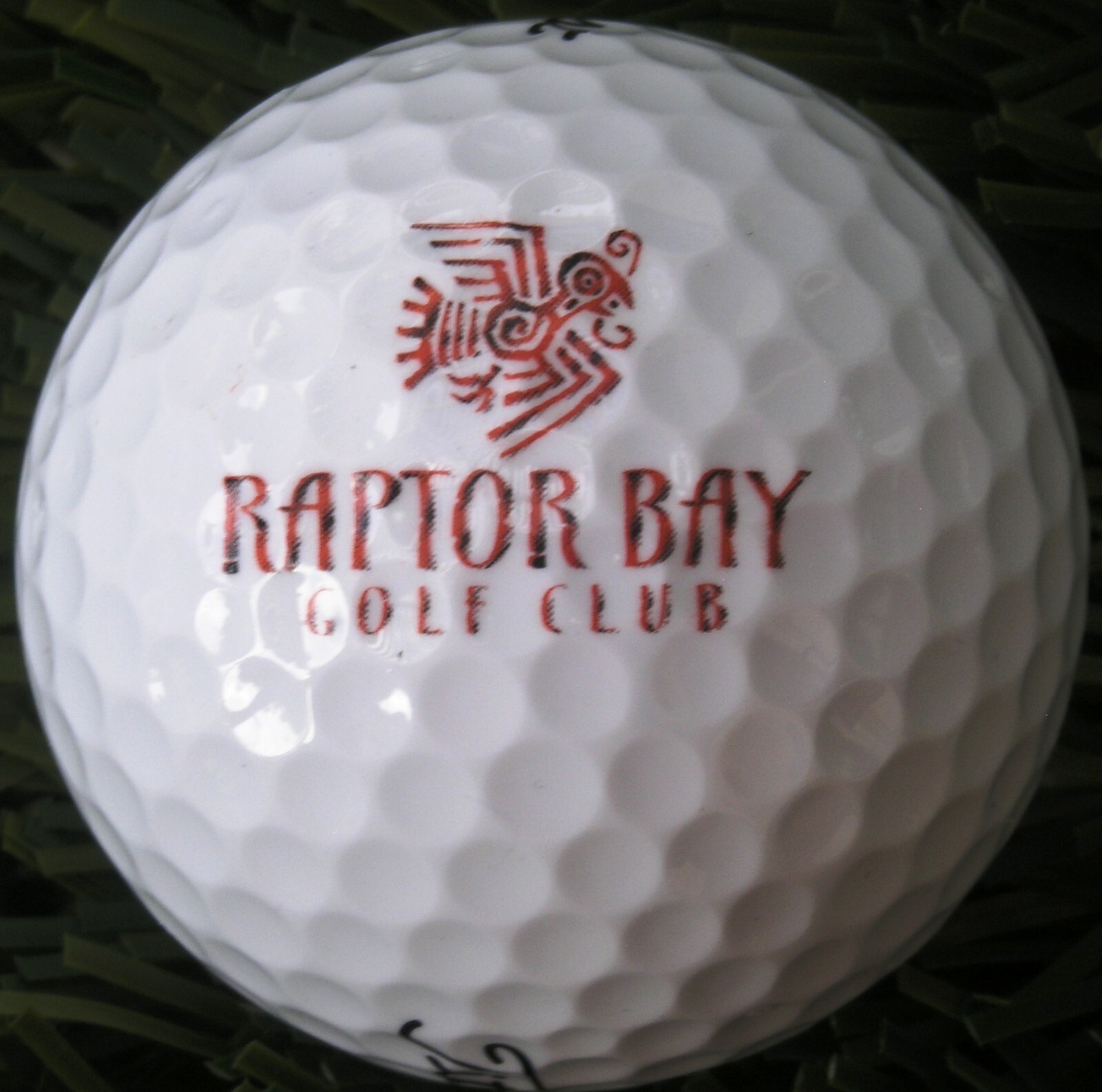 Raptor Bay Golf Club Titleist logo ball new #1720