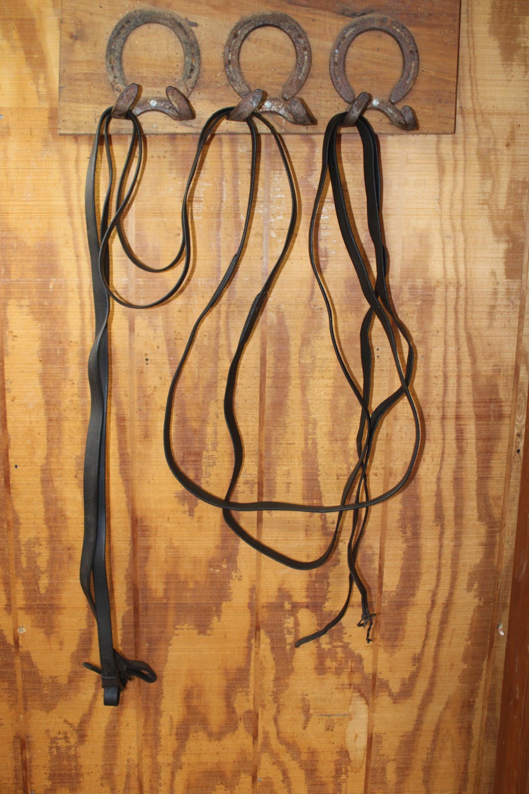 Buckle End Black Leather Driving Lines