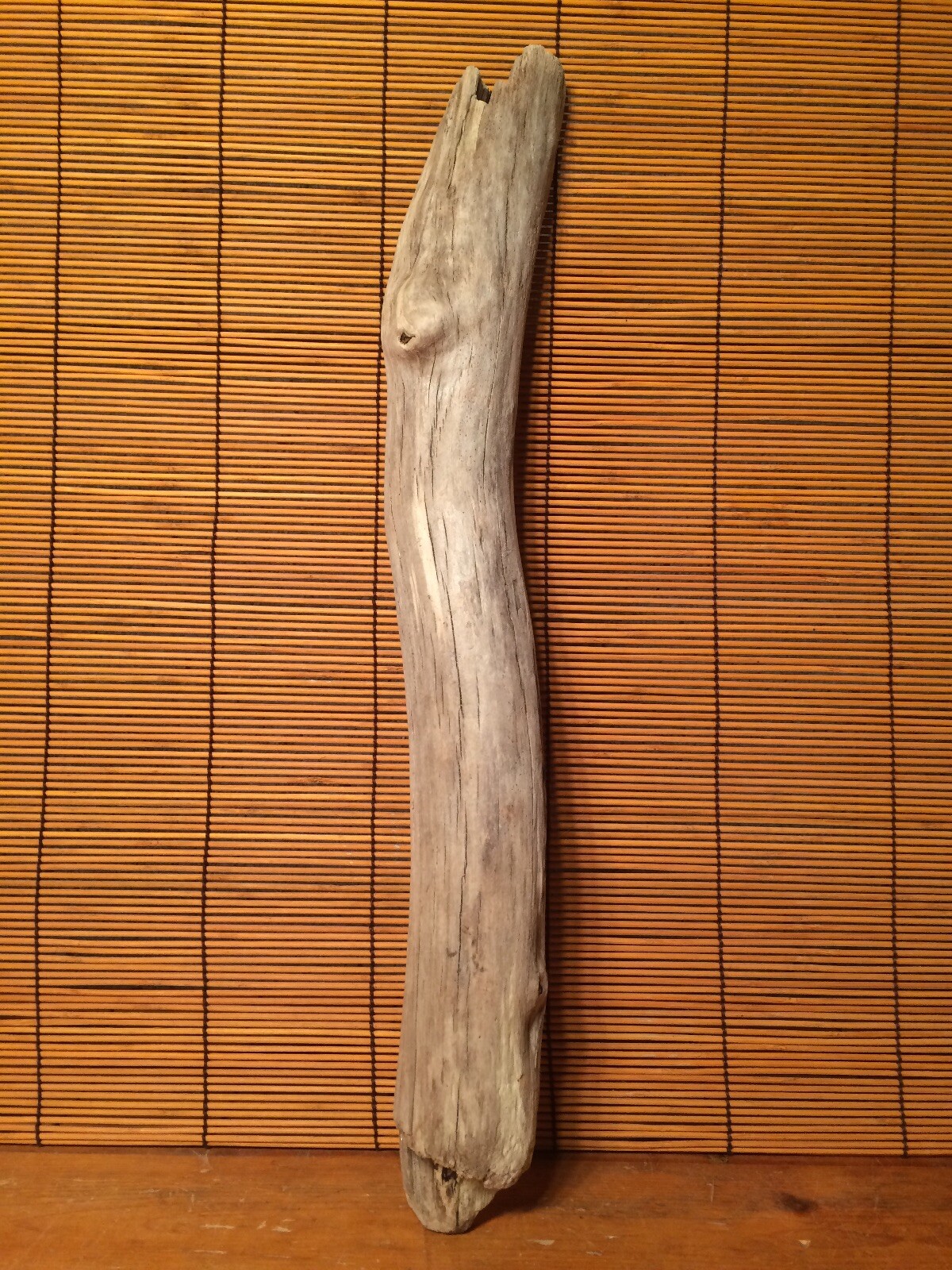 Beautiful 19" DRIFTWOOD Piece  Terrarium Taxidermy Aquarium Beach Wood DECOR Art