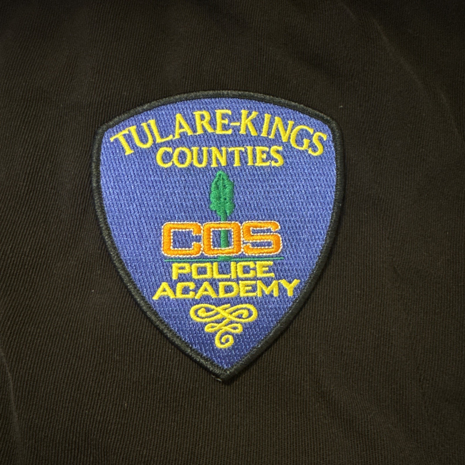 Tulare-Kings Counties Police Academy Patch CA Police Patch