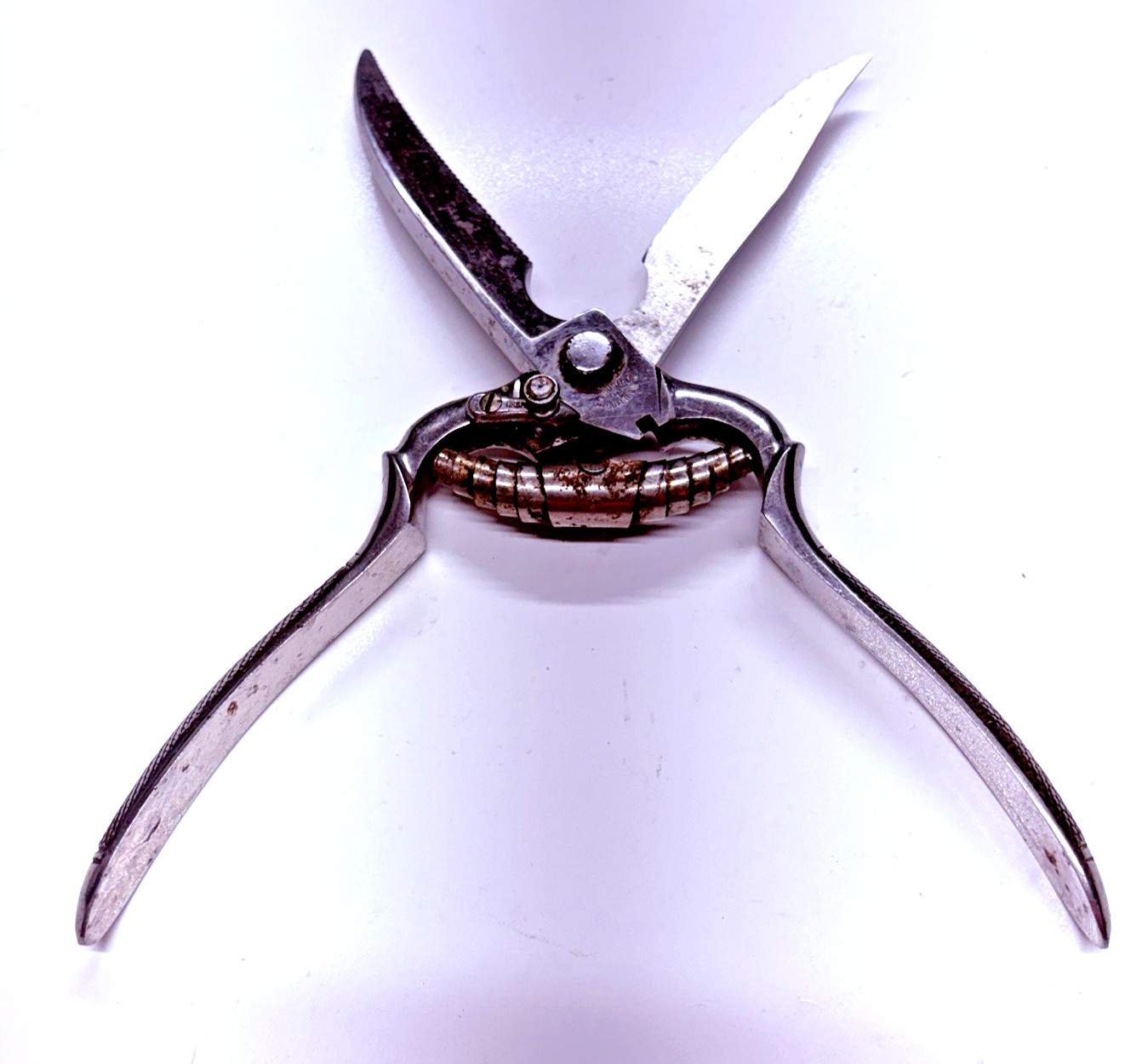 VTG Poultry Shears Stainless Maker Recosa Solingen 9.5"L Sharp-Well Used-Locking