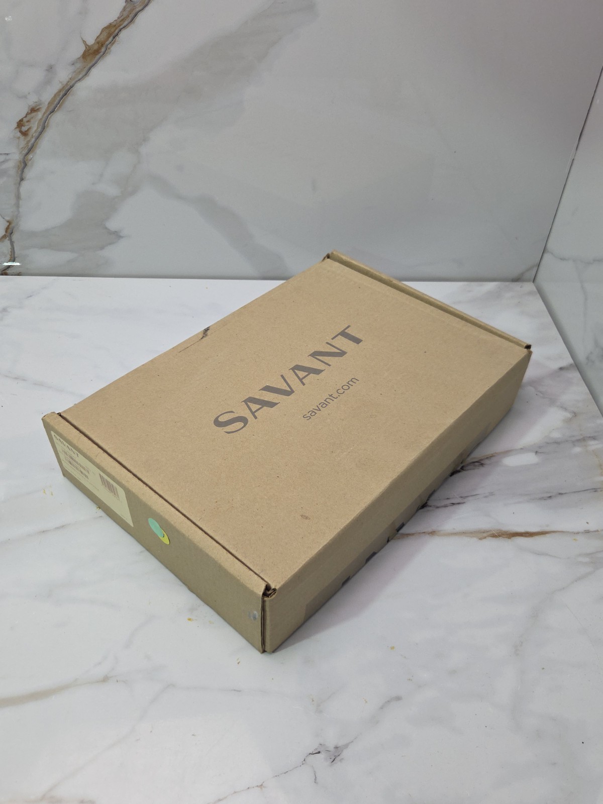 Savant SSC-P025-11 SmartControl 25 Controller REV 10