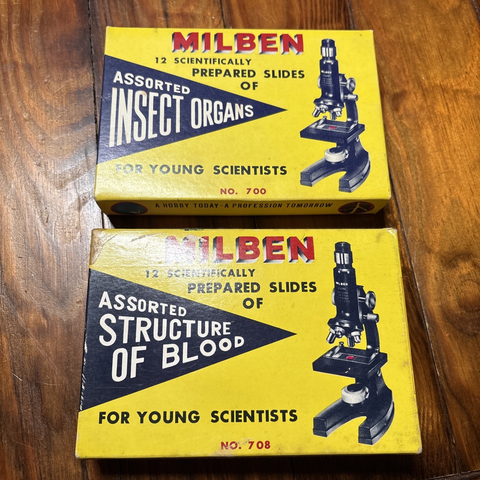 Vtg Milben Microscope Slides Set 700 & 708 Structure of Blood Insect Organs RZK