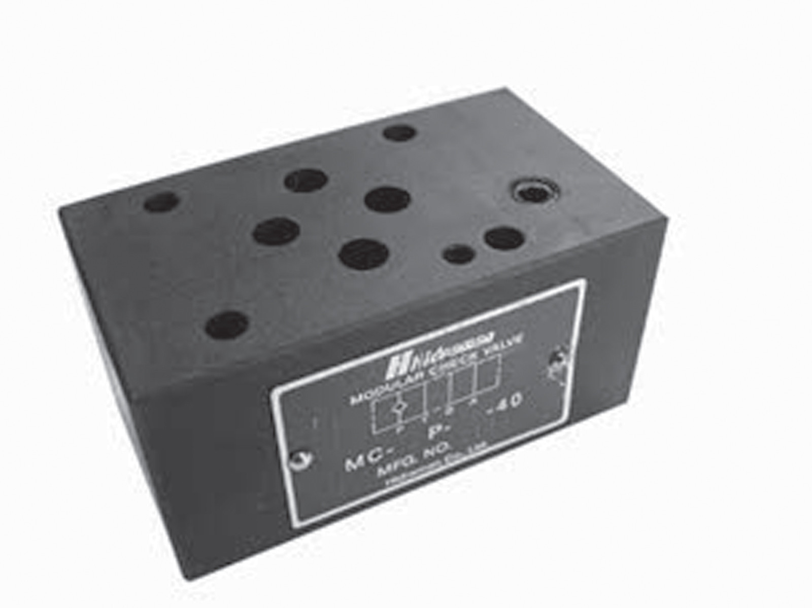 Hidraman Modular Check Valve 1/4" MC-02P-05-40