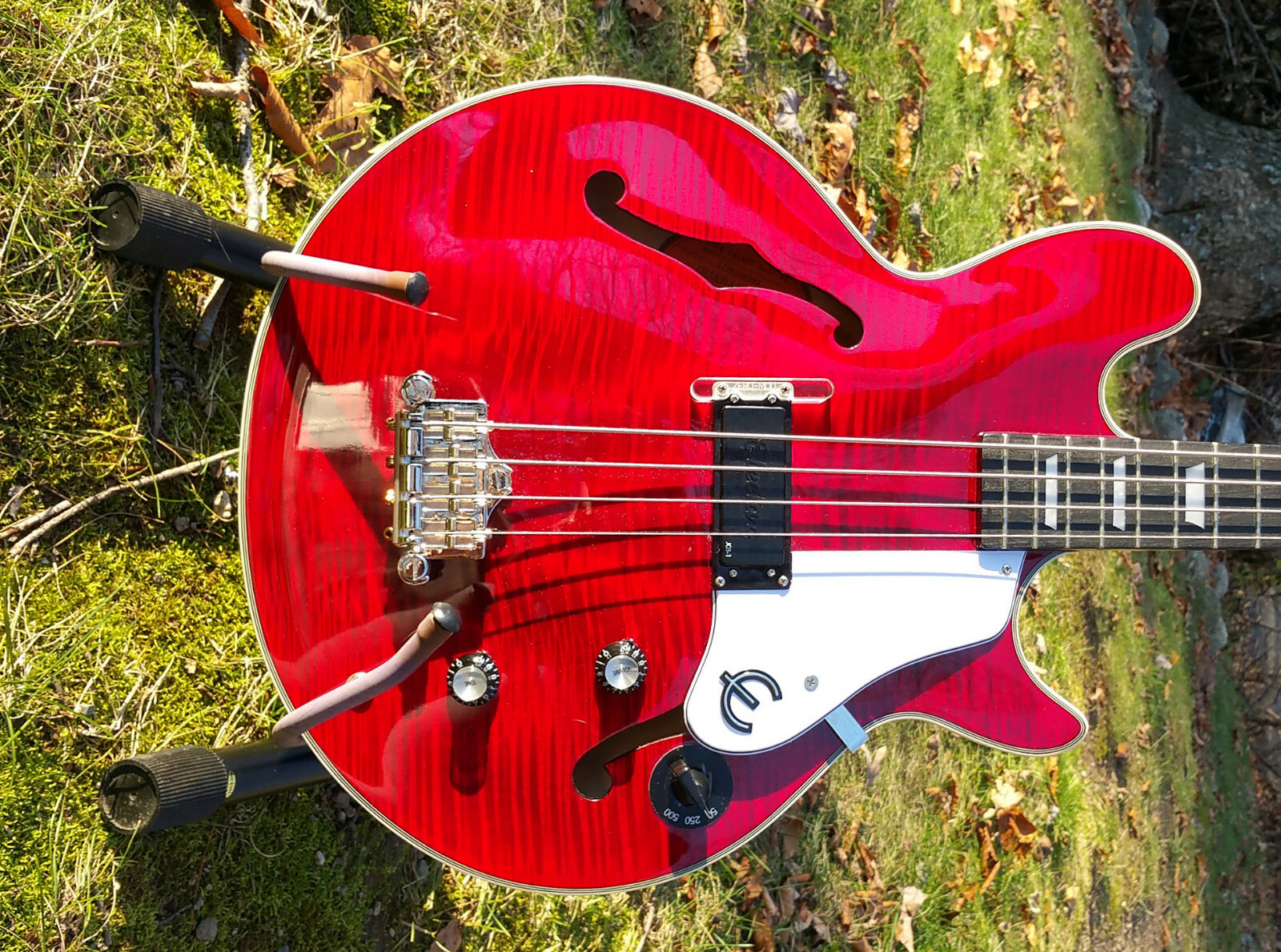 Zero-Mod Jack Casady Bass JCLP1 Thumb Rest   NO MODS, NO NEW HOLES
