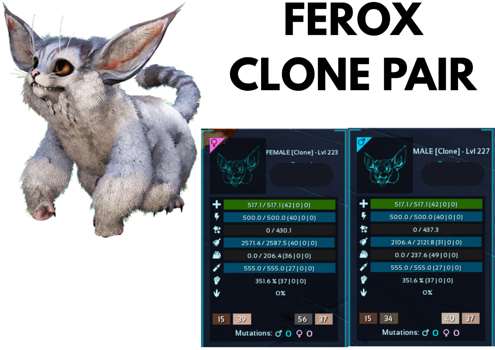 Ferox Clone Pair Ark Survival Ascended Official PVE