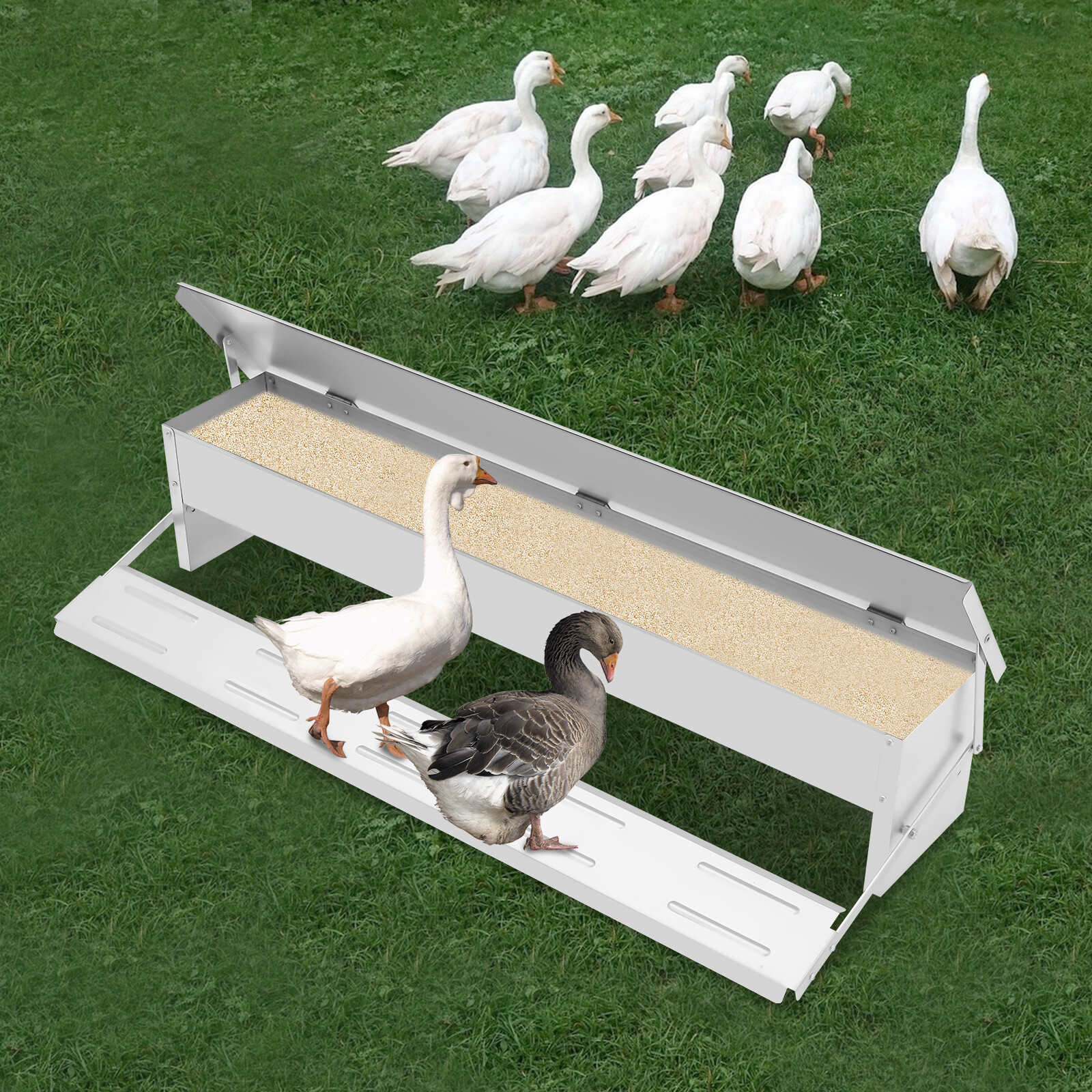 Automatic Chicken Feed Trough Feeder Poultry Trough Chicken Feeder Floor Stand