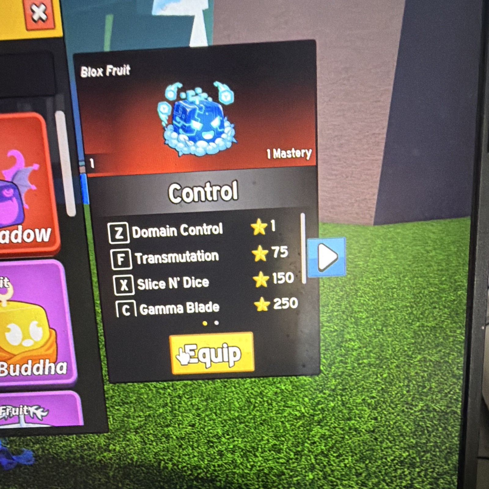Blox Fruit Control Generation Game Item/Asset - 1 Mastery In-Game Ability
