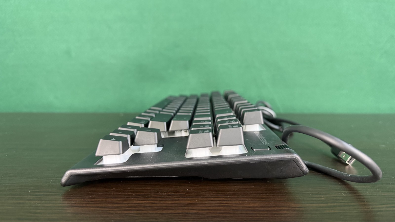 BLACK SteelSeries Apex 3 TKL Wired RGB Keyboard