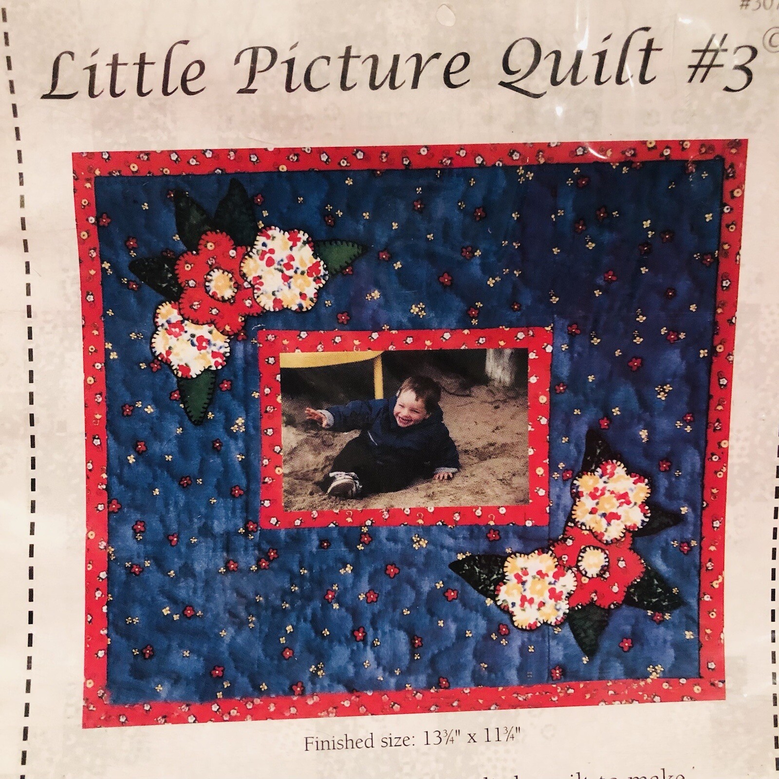 VTG Little Picture Photo Quilt Pattern 307 Jean Boyd 2001 Sew Craft UNCUT NOS
