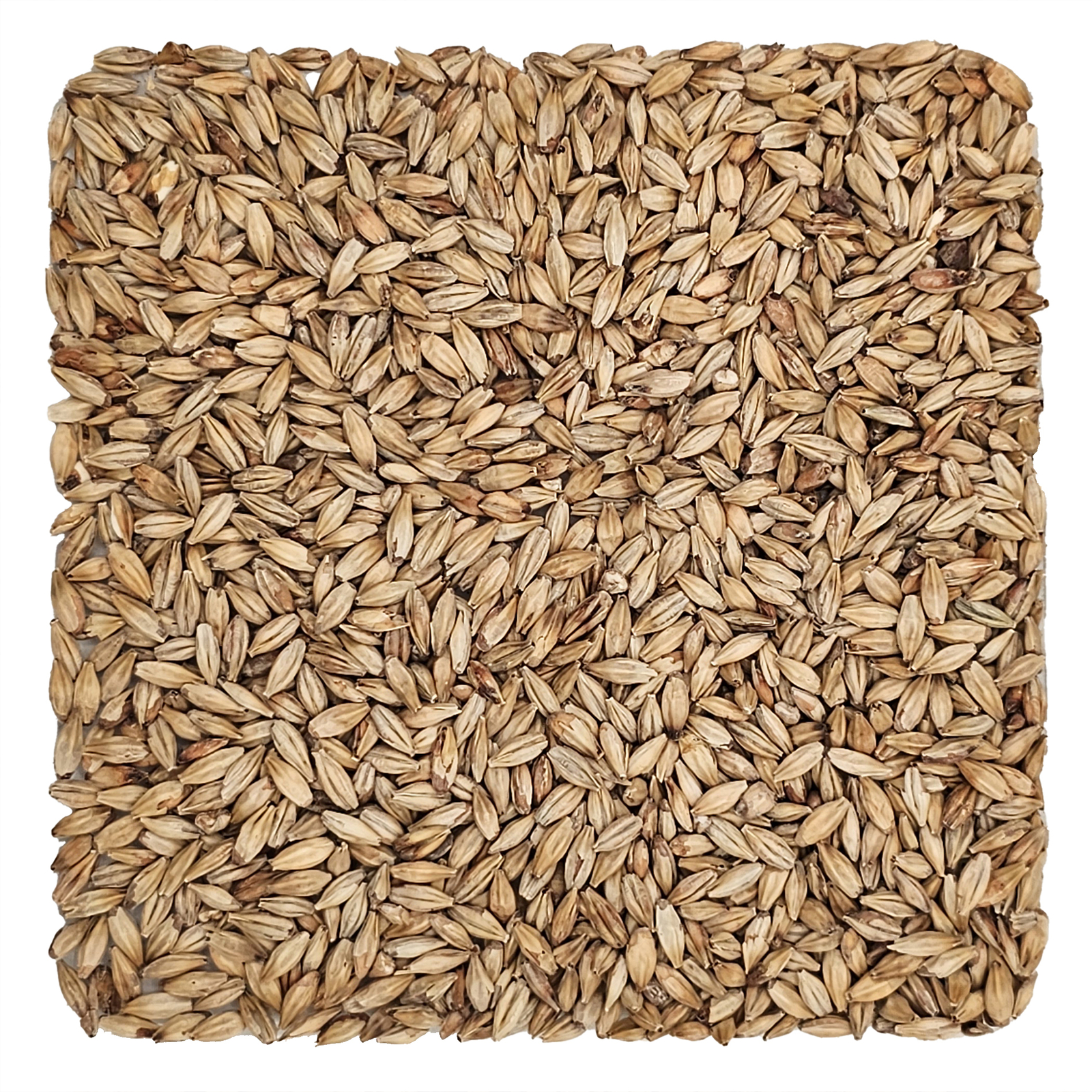 Home Brew Ohio Abbey Grain 5lb