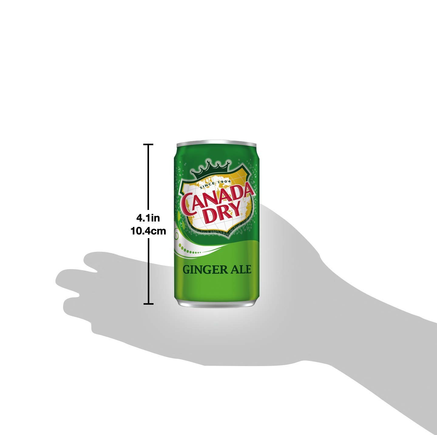 Ginger Ale Mini Soda Cans, 7.5 oz Soft Drinks Bulk Snacks 24 Pack, Small
