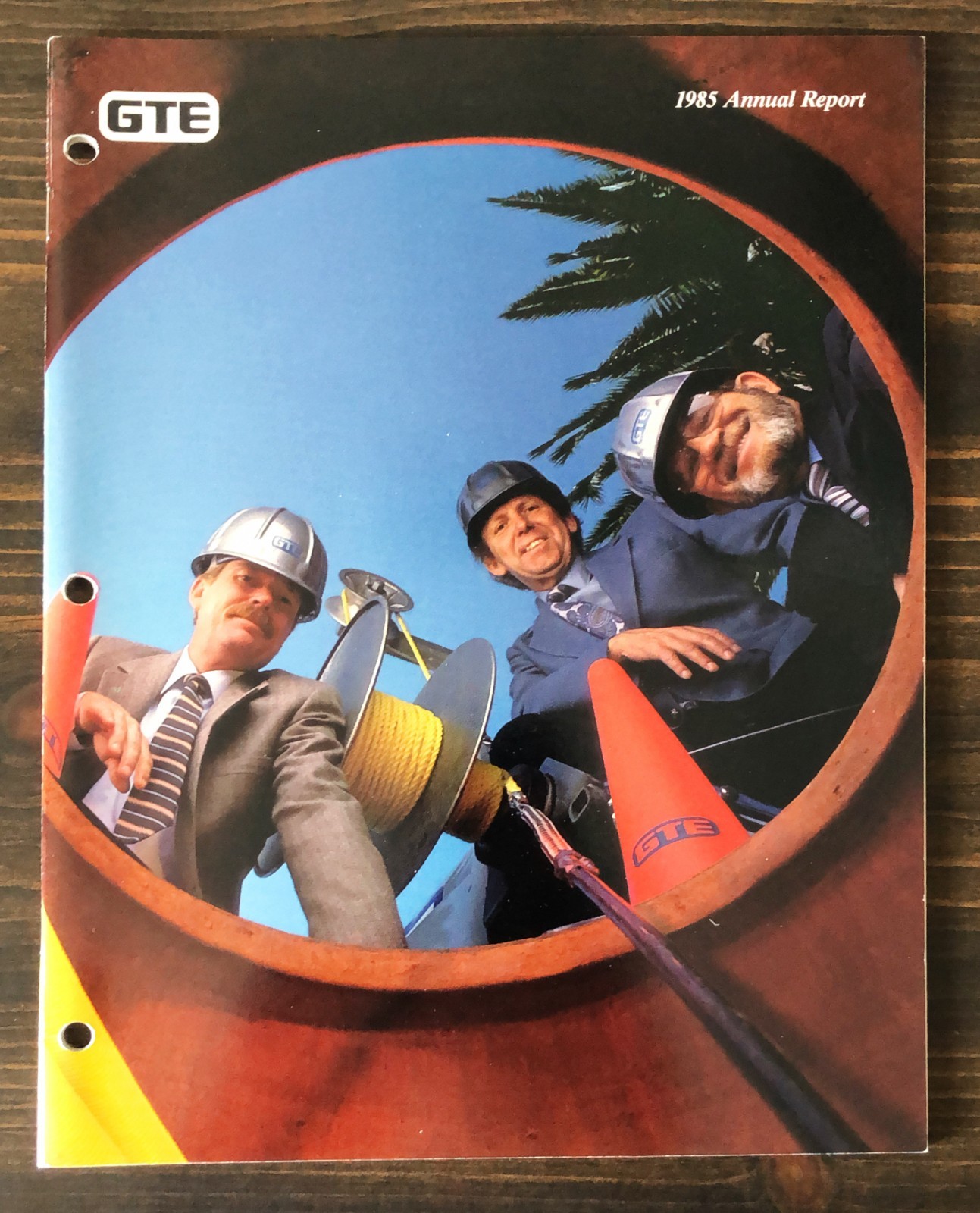 1985 GTE Annual Report