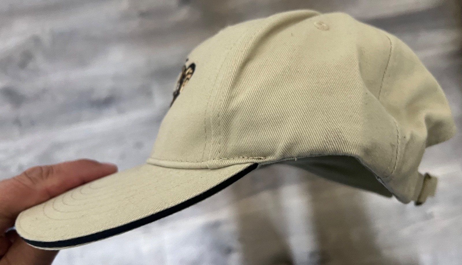 ROCKY MOUNTAIN BIGHORN SOCIETY Baseball Hat Cap BIG HORN SHEEP HUNTING