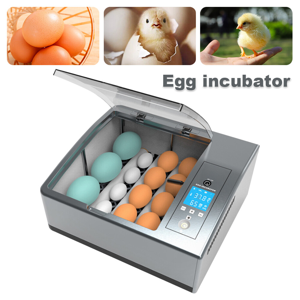 Egg Incubator 35W Automatic Chicken & Quail Hatcher for Egg Hatching