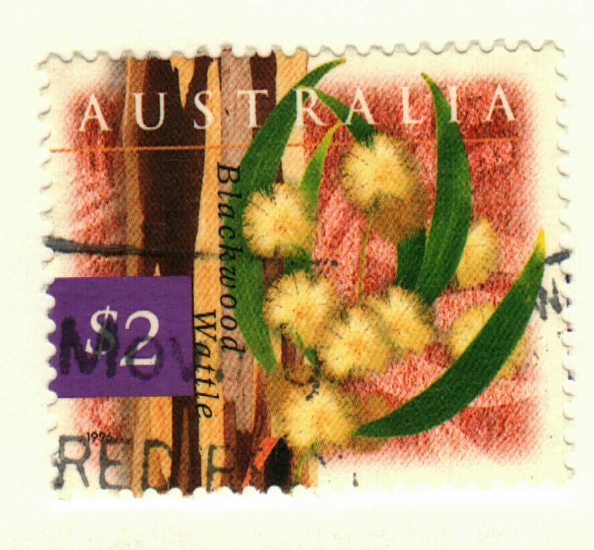 Australia #1533 used Blackwood Wattle flower