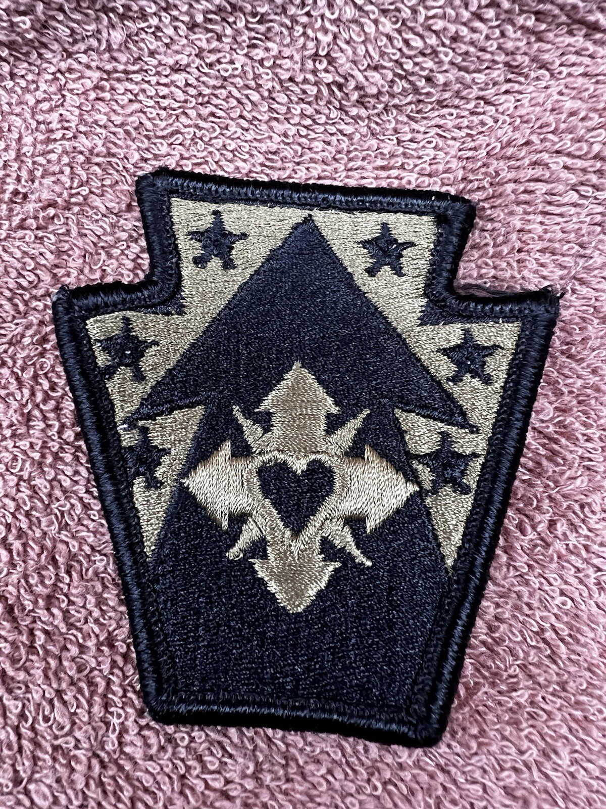 US Army Shoulder Patch, 213th Regional Support Group, PAARNG, OCP  w/ Hook Back