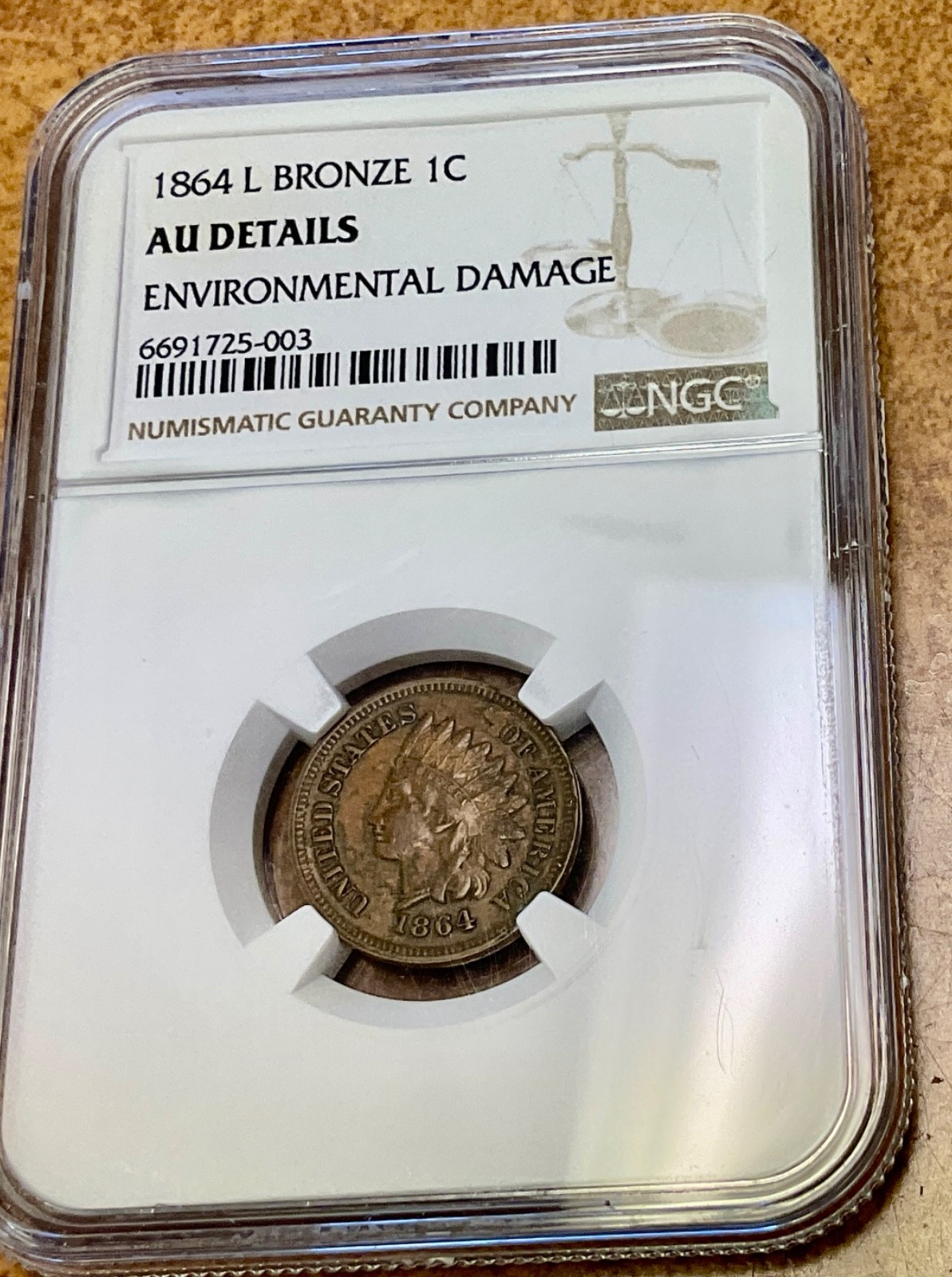 1876 Indian Head Cent - NGC AU Details - lightly cleaned.