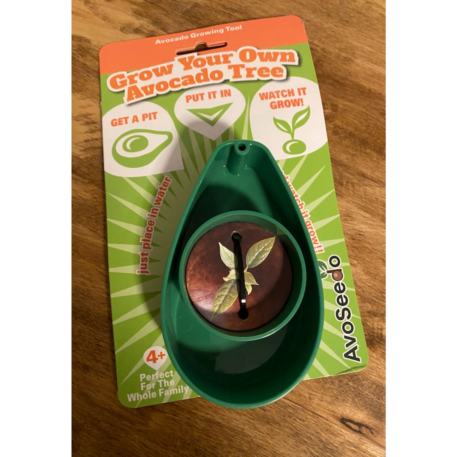 NEW* AvoSeedo - Bowl Grow Your Own Avocado Tree