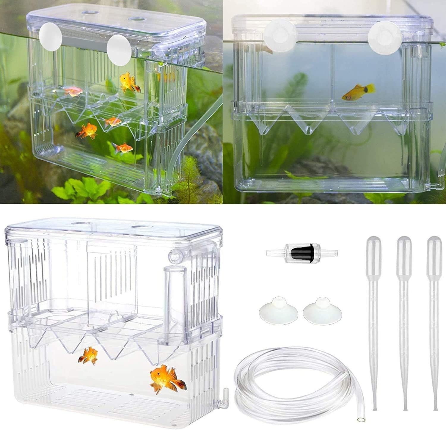 Aesthetic Plastic Fish Breeder Box - Prevent Fish Aggression & Enhance Survival