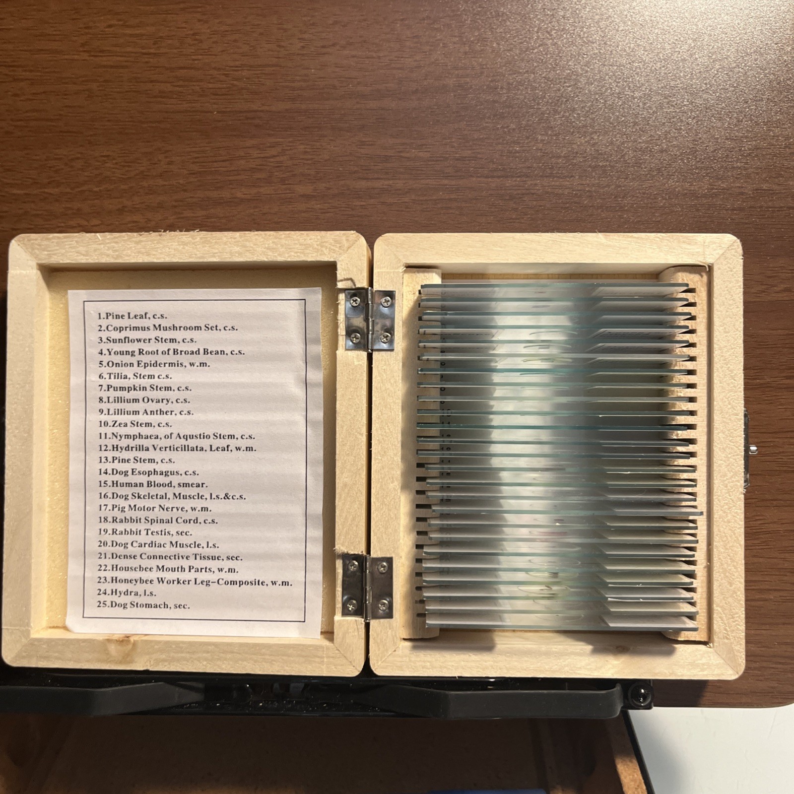 AmScope 25 Prepared Microscope Slides Glass with Wooden Box