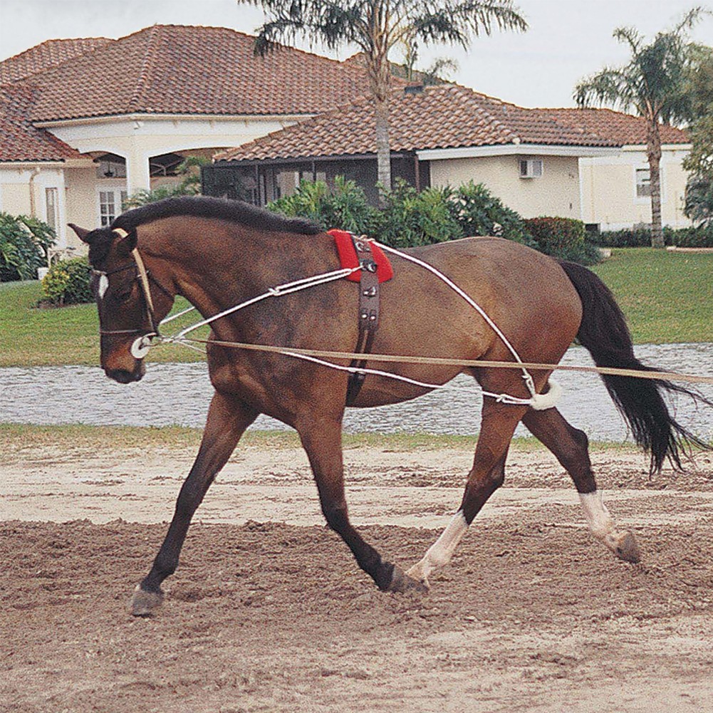 PESSOA Lunging System, Size: Pony (460300NONE-PNY)