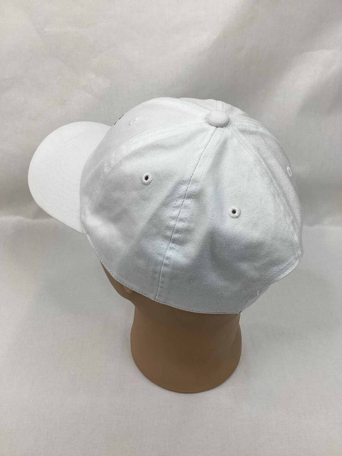 MASTERS GOLF Hat Cap 2020 White Adjustable American Needle OSFM EUC
