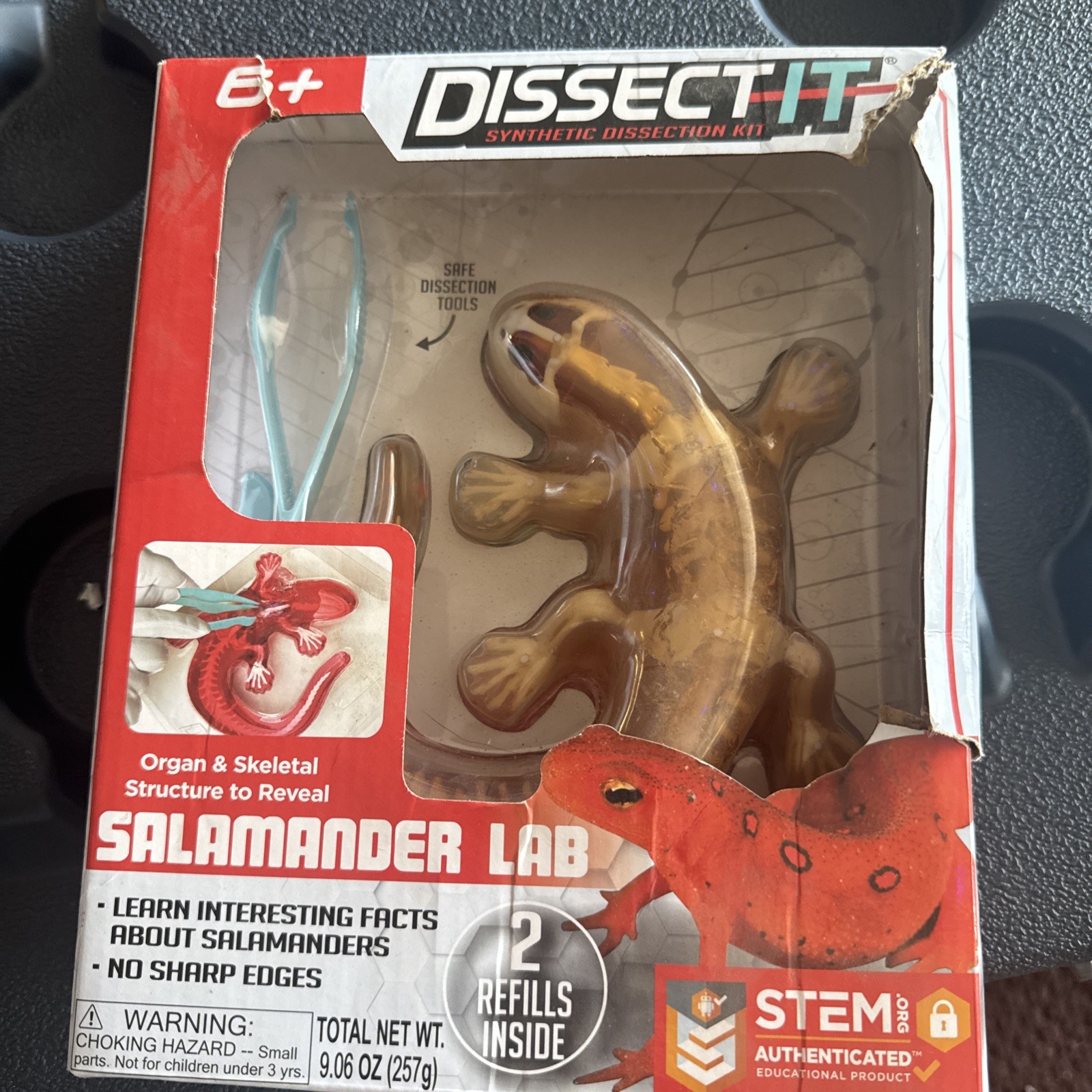 Stem Dissect-It Synthetic Dissection Lab Kit "Salamander Lab" -BRAND NEW