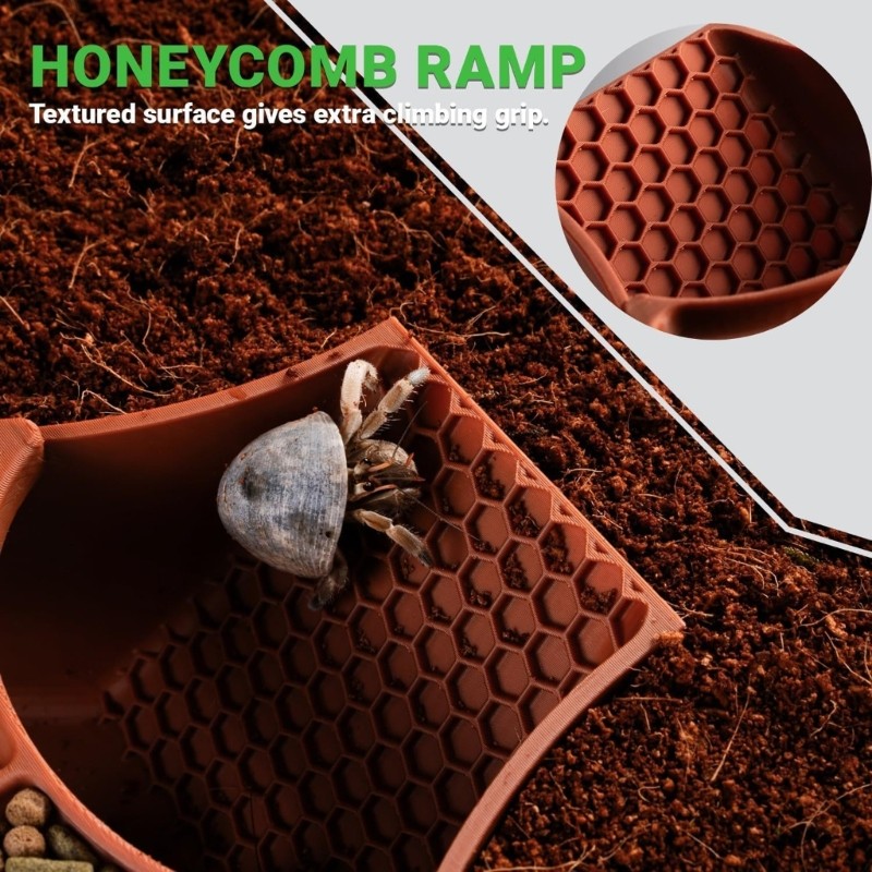Hermits Crabs Plastic Dwelling Featuring Integrated Climbing Tunnel Double