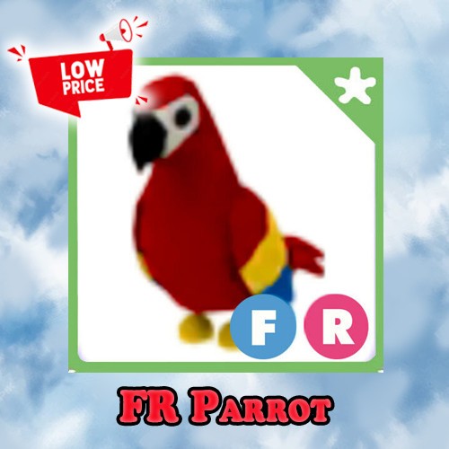 FR Parrot - Adopt right now
