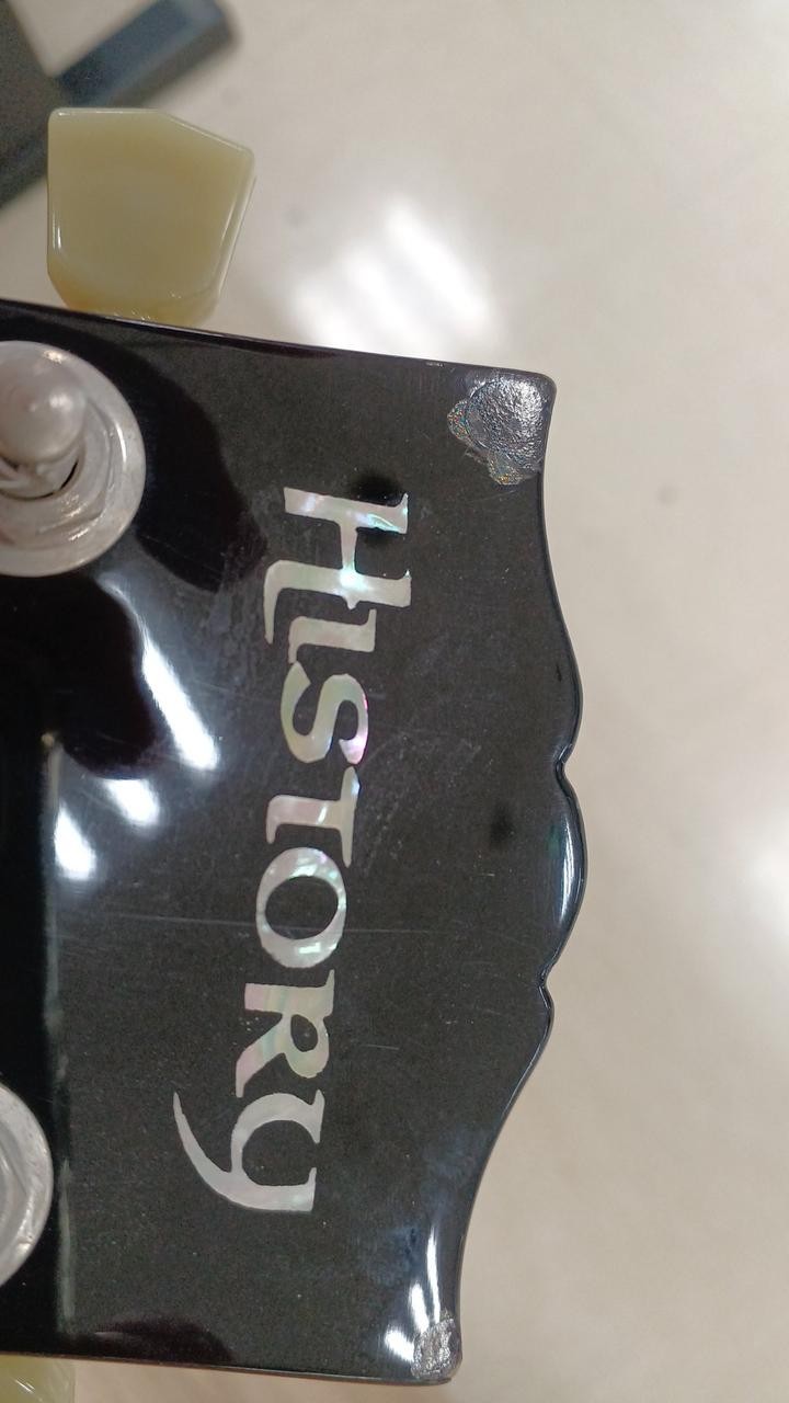 HISTORY ZLS-100 Les Paul type