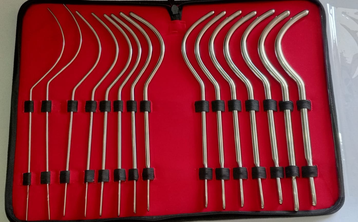 15 Pcs Van Buren Urethral Sounds Set - Full Surgical Steel Dilator Kit with Case