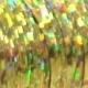 Veniard Holographic Tinsel Assorted Colours MEDIUM