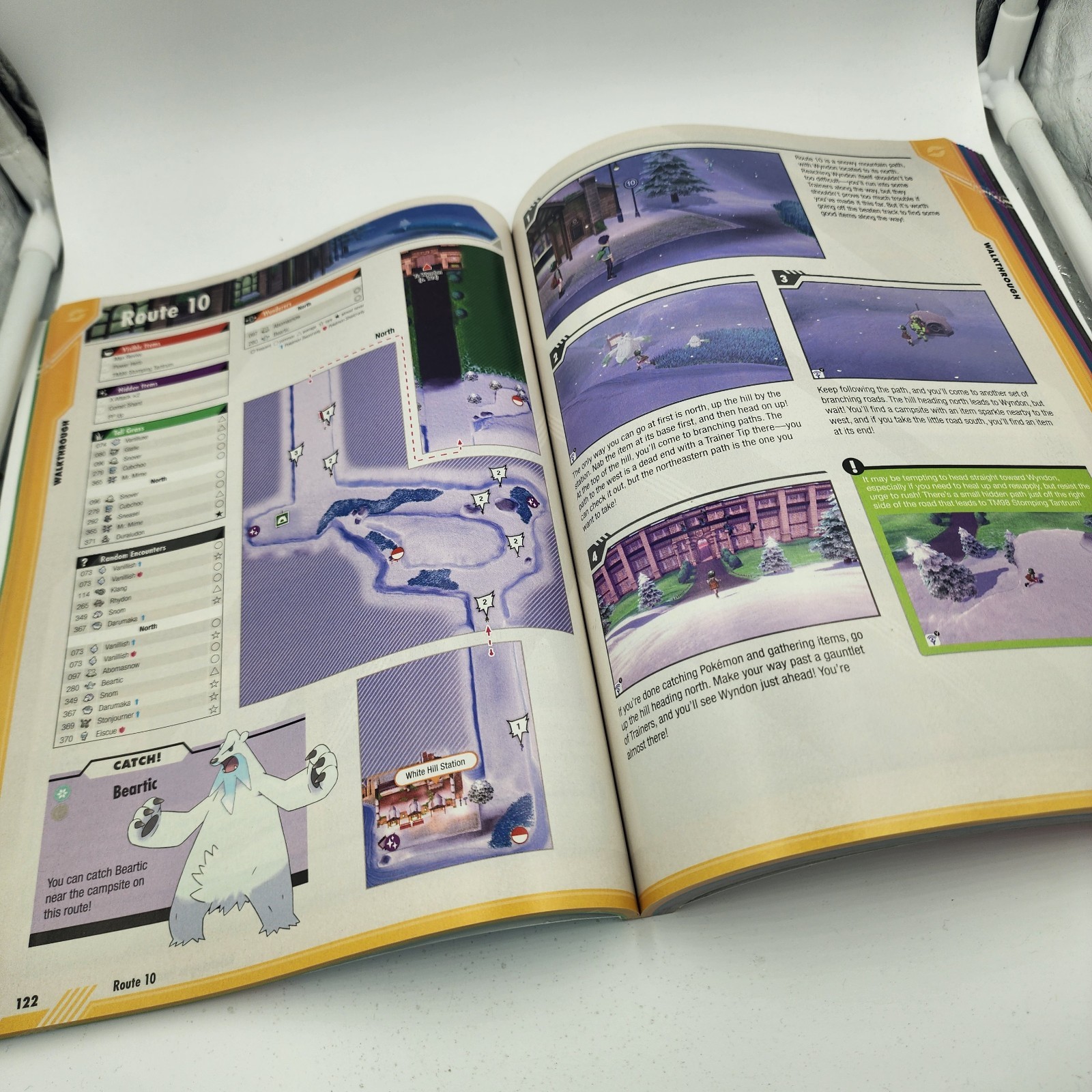 Pokemon Sword & Pokemon Shield: The Official Galar Region Strategy Guide