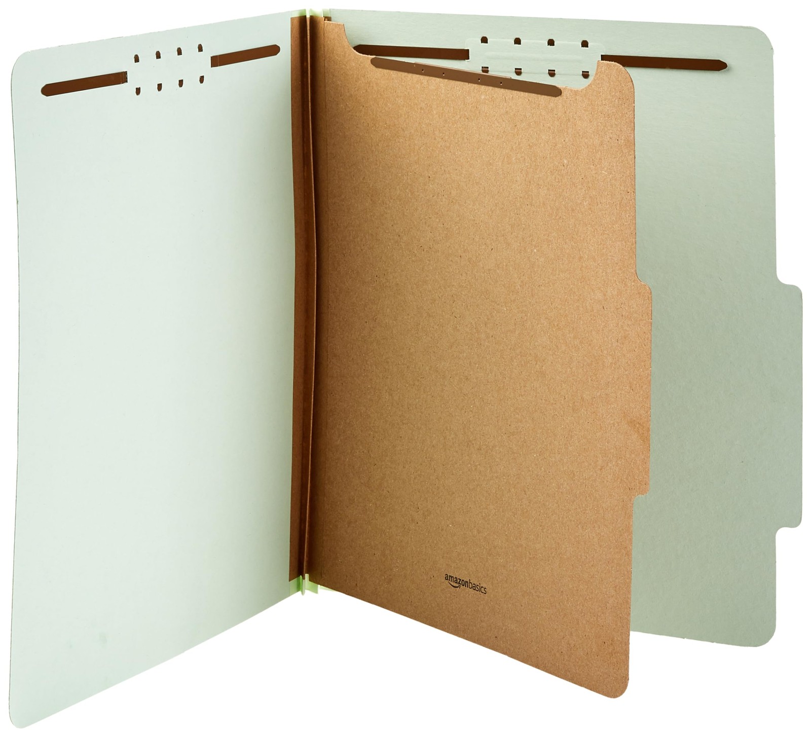 Amazon Basics Classification File 12.05 x 10.47 Inch (Letter), Light Green