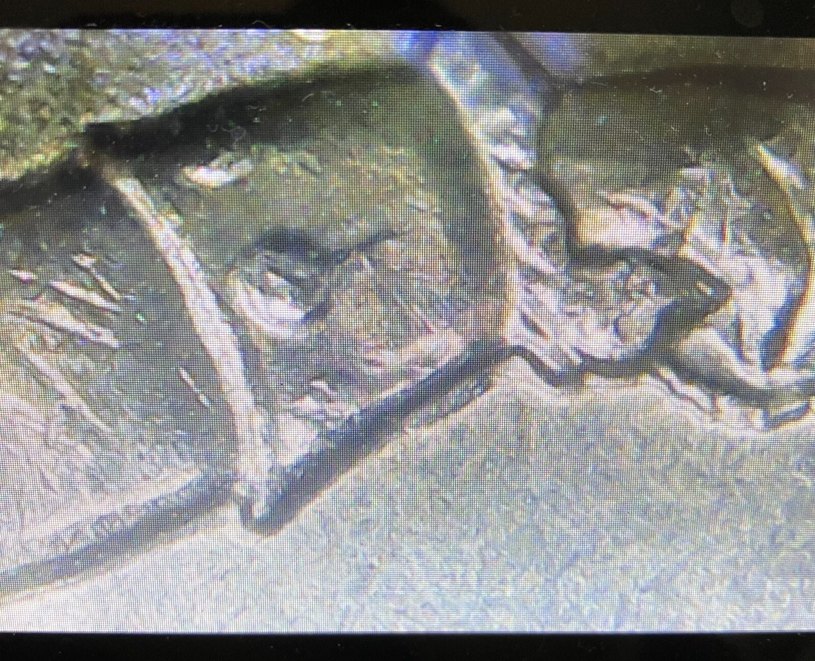 2021 P Crossing The Delaware Quarters Struck Through, DDR Errors