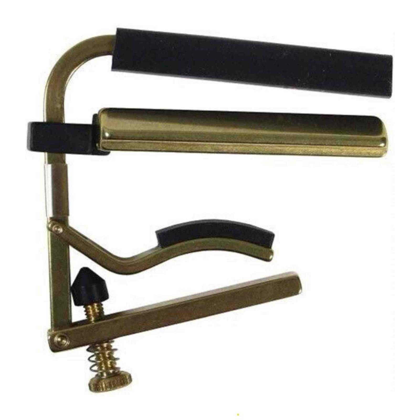 Shubb Dobro Capo