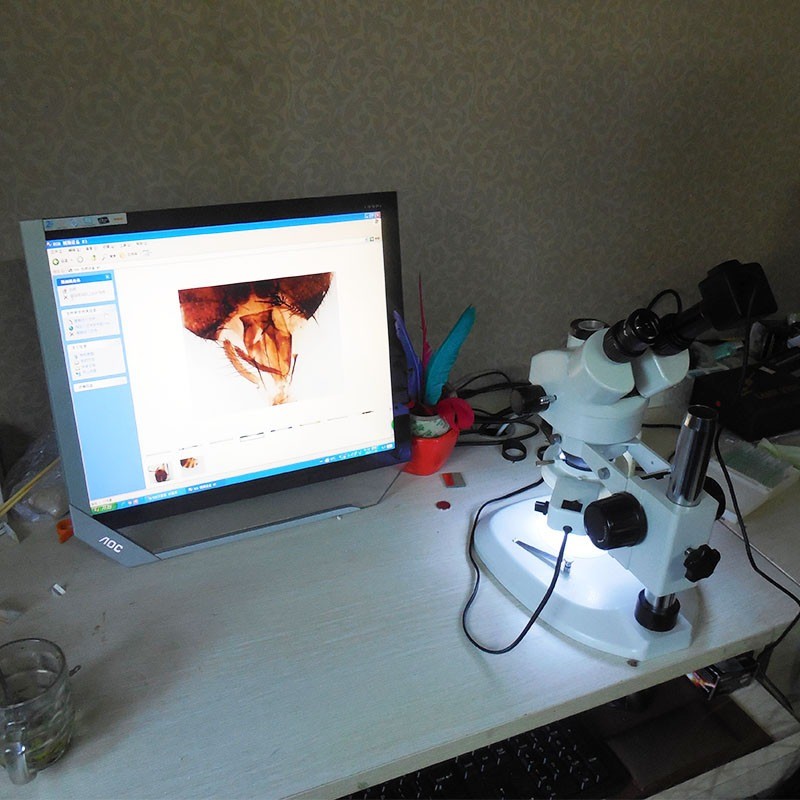 5.0 MP HD Digital Electronic Eyepiece Camera USB Microscope with C Mount Adapter