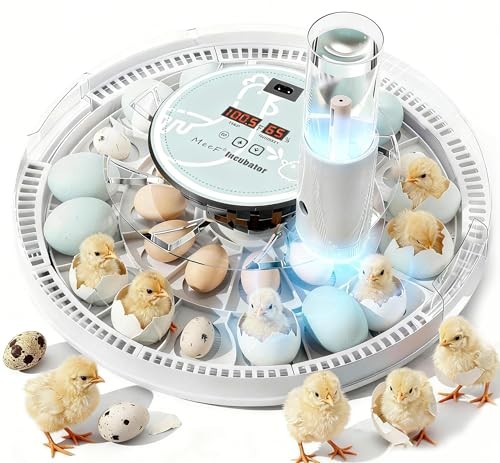 Egg Incubator for Hatching 28 Eggs Auto Flip Independent Atomizing Humidifier 90