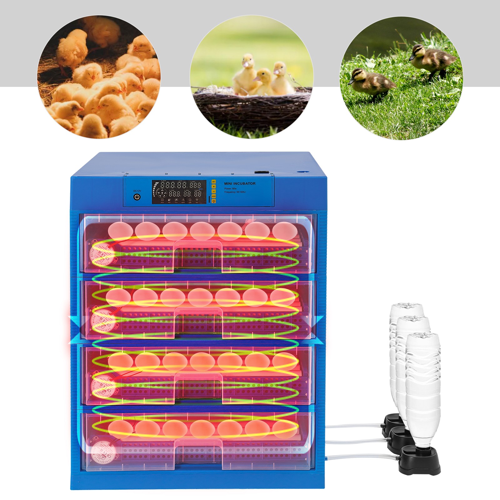 256 Egg Incubator Automatic Egg Turning & Temperature Control Digital Incubators