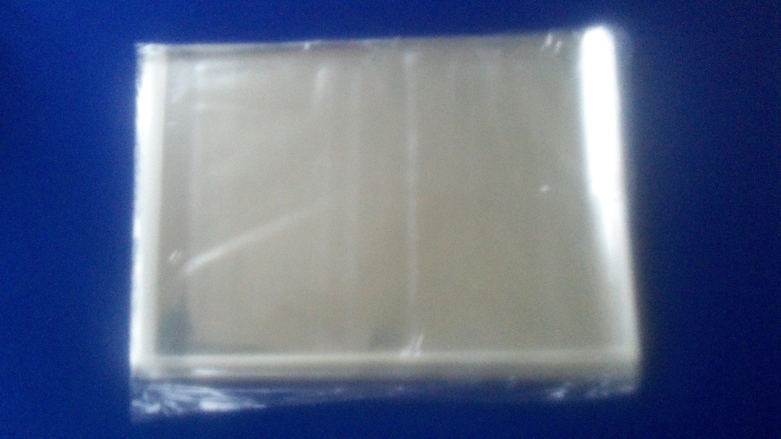 25 Life Large Magazine sleeves Plastic Protection Storage Bags