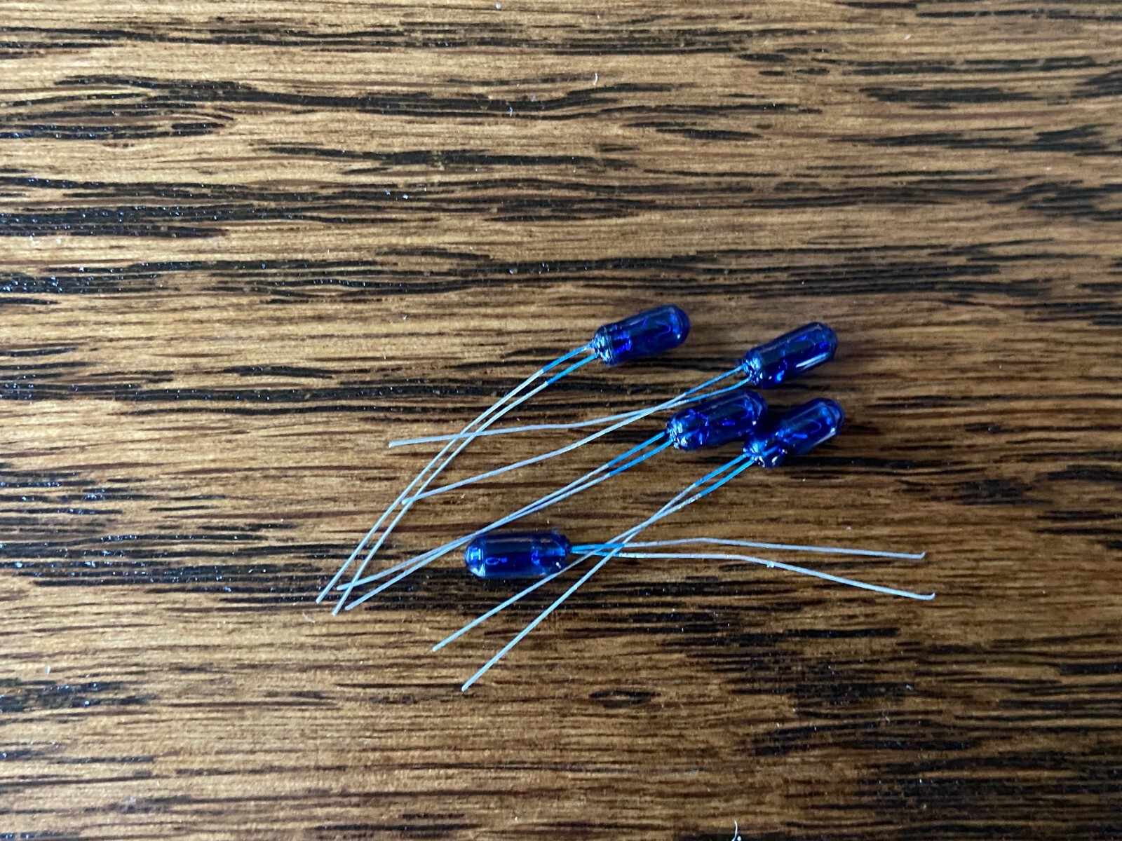 5 New BLUE Grain-of-Wheat Bulbs 6.3v 70mA Lamps Vintage Receiver Lights 3MM 6v